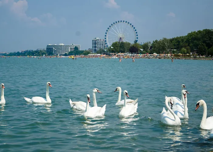 בית נופש Unit_type_semidetached_house 54624 שיופוק